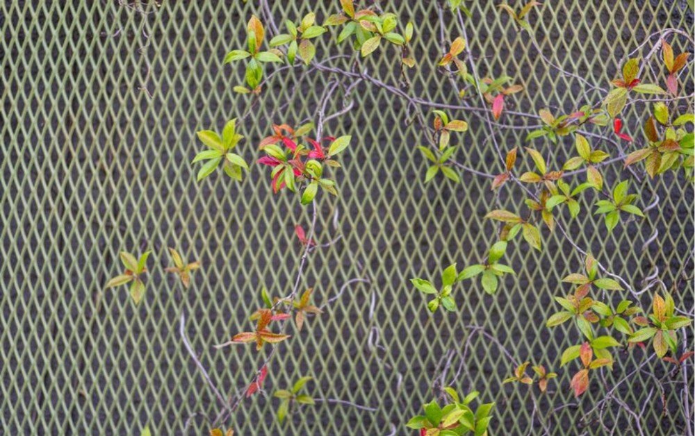 Why Choose PVC Coated Chain Fencing for Your Property in Dubai?